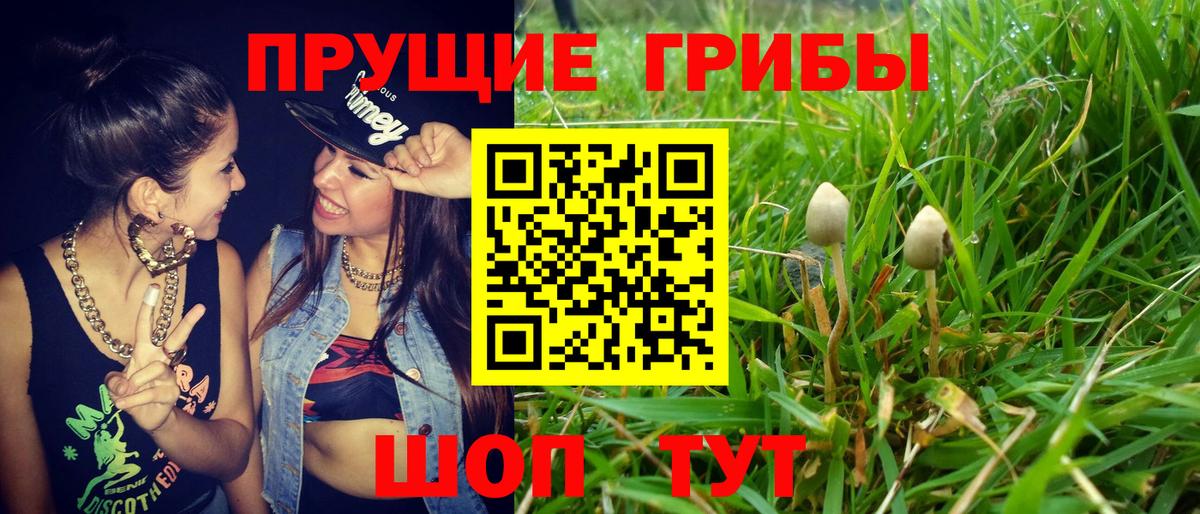 Галлюциногенные грибы ЛСД  Вход с VPN  Нарткала 