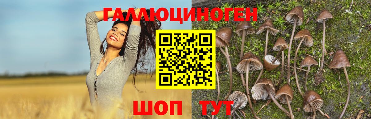Псилоцибиновые грибы мухоморы Нарткала