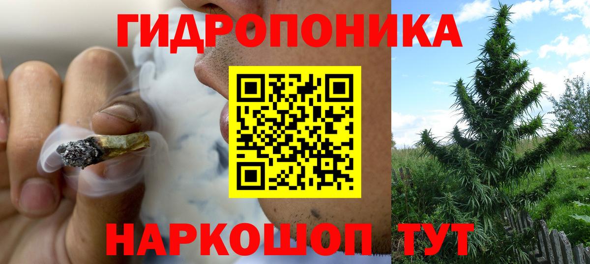 Бошки марихуана конопля Нарткала